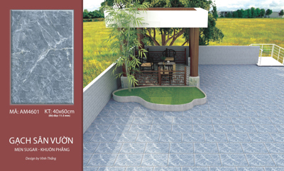 Gạch sân vườn AM4601